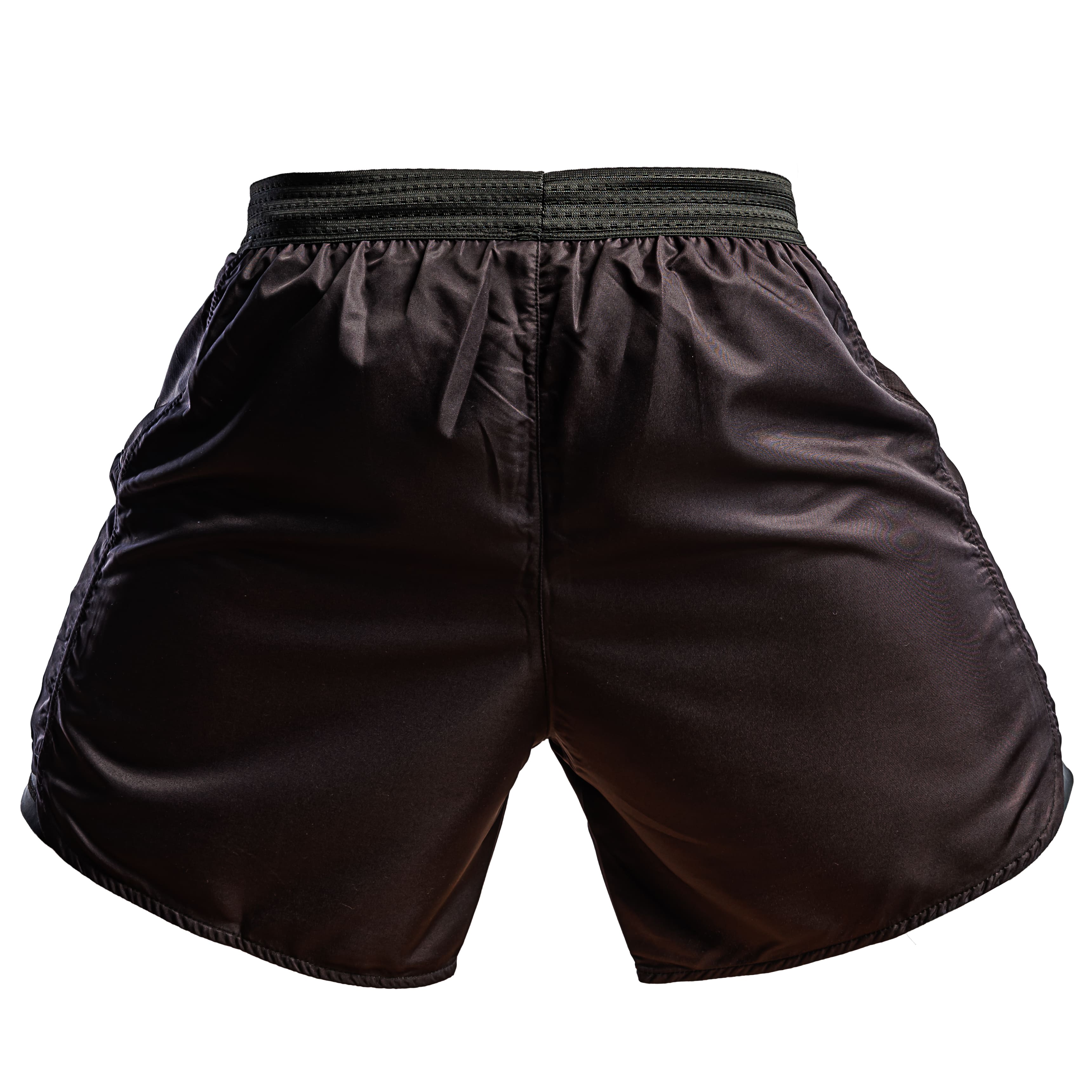 2-1 MMA SHORTS - Image 6