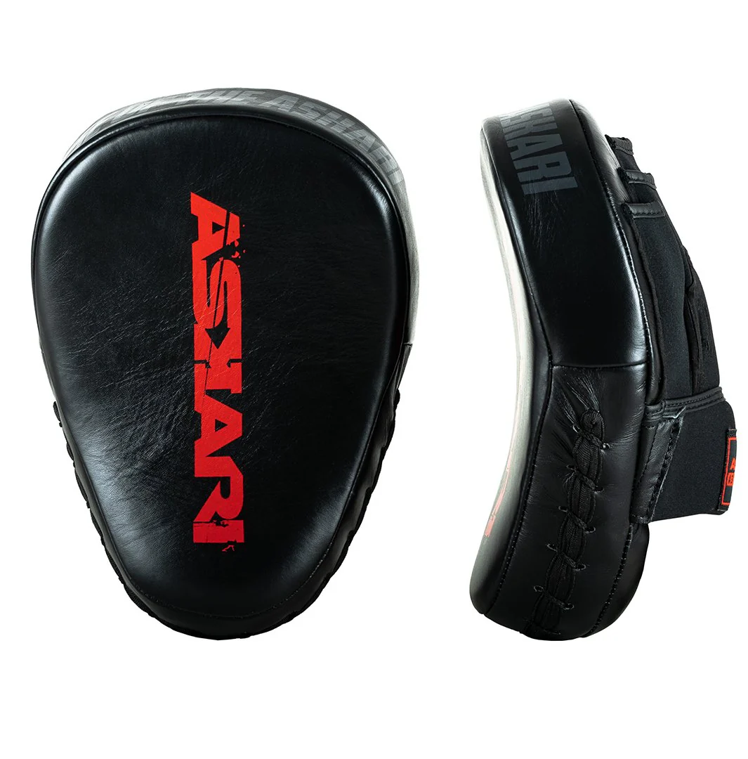 BOXING FOCUS MITTS [ULTRA] - Image 4