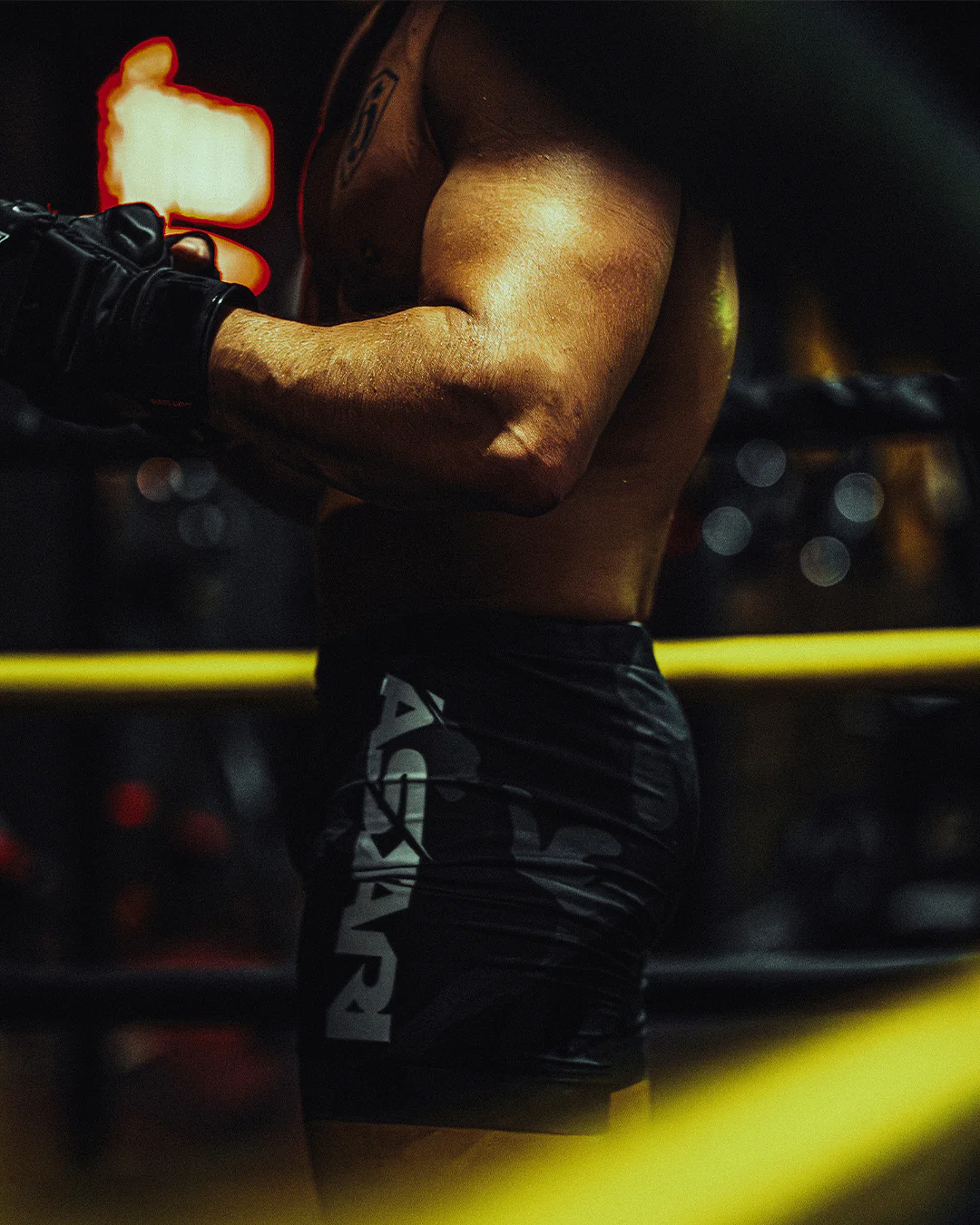 "HELLHOUND" VALE TUDO SHORTS - Image 3