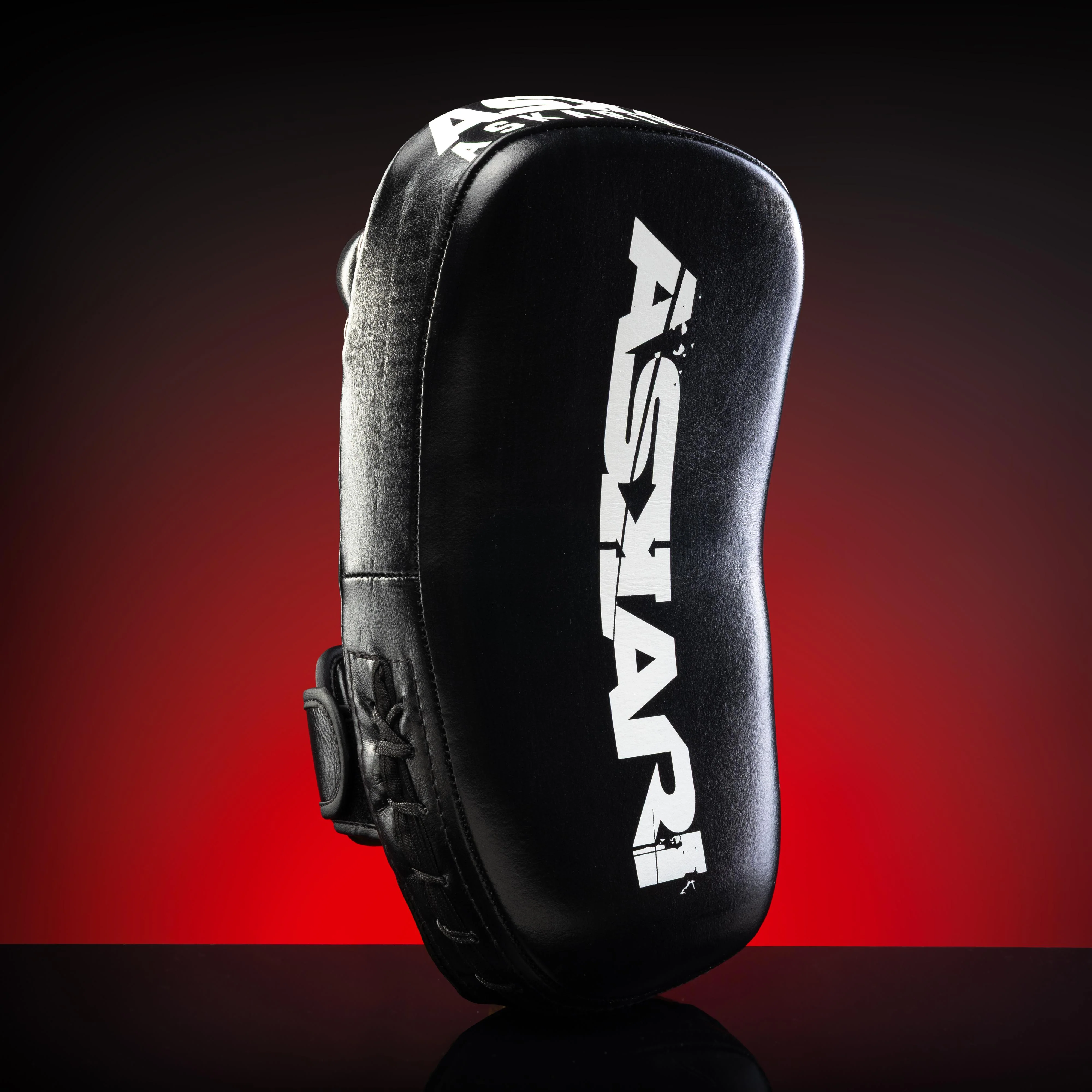MINI MUAY THAI PADS - Image 10