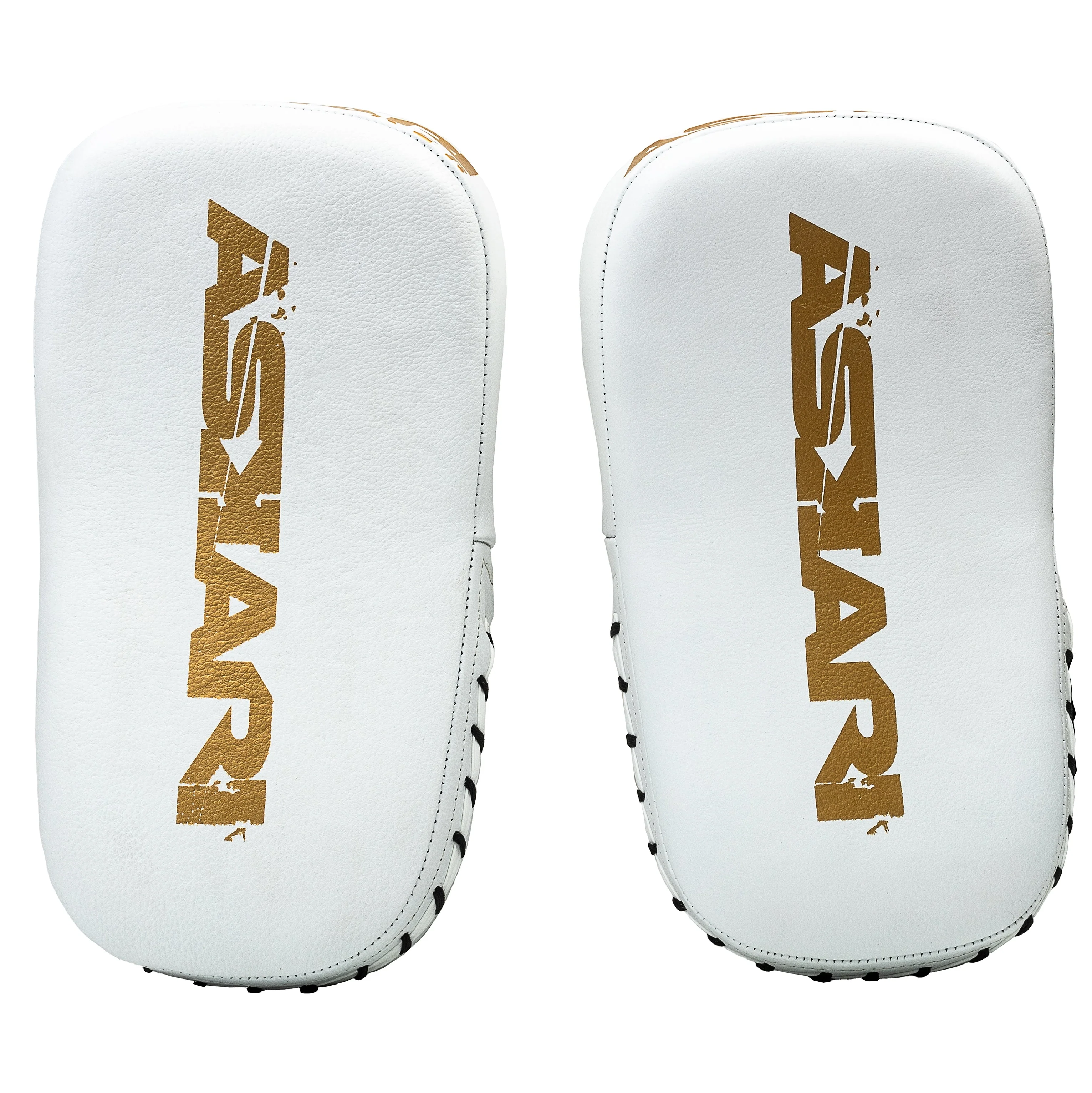 MINI MUAY THAI PADS - Image 4