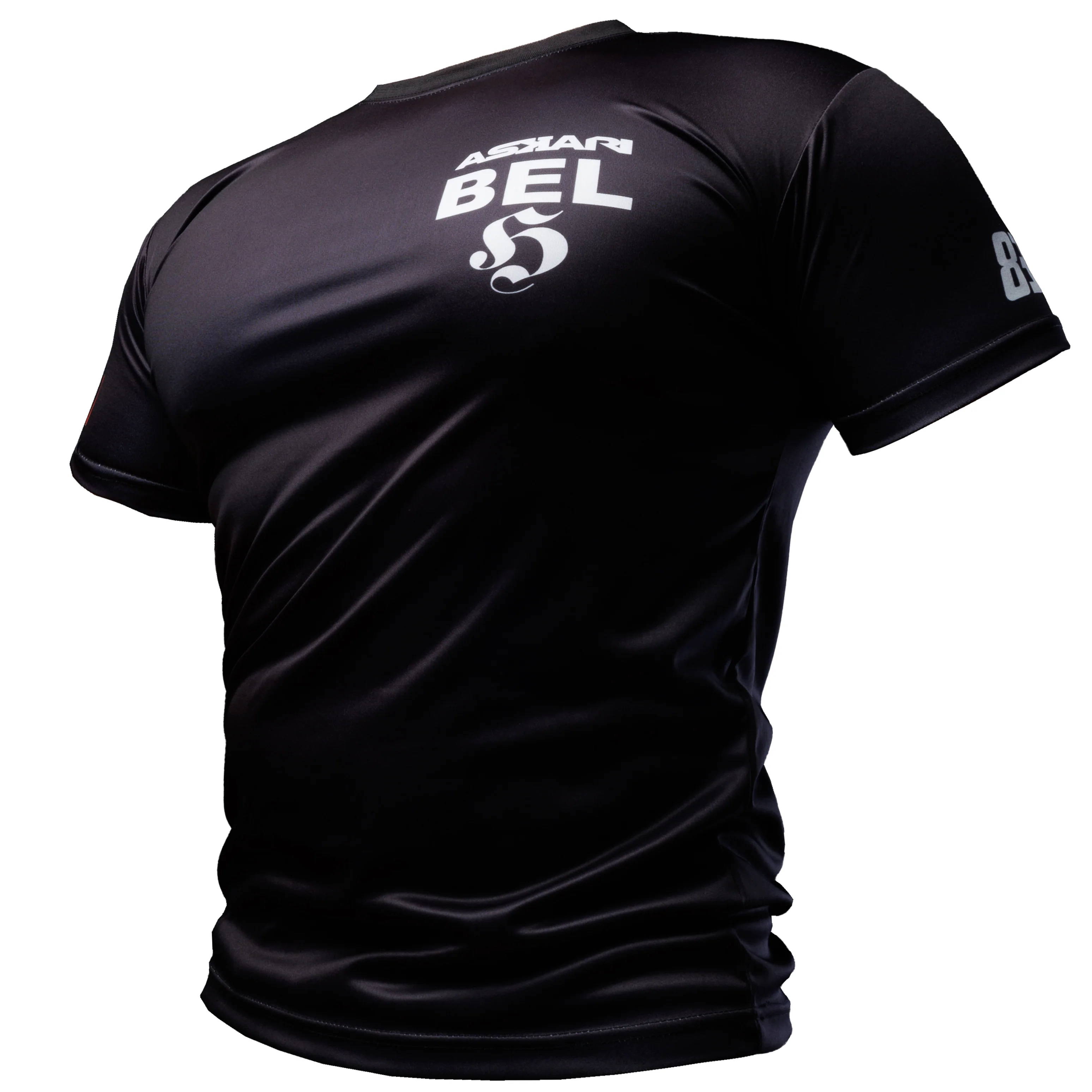 "TERRITORY" T-SHIRT [WESTERN EUROPE] - Image 31