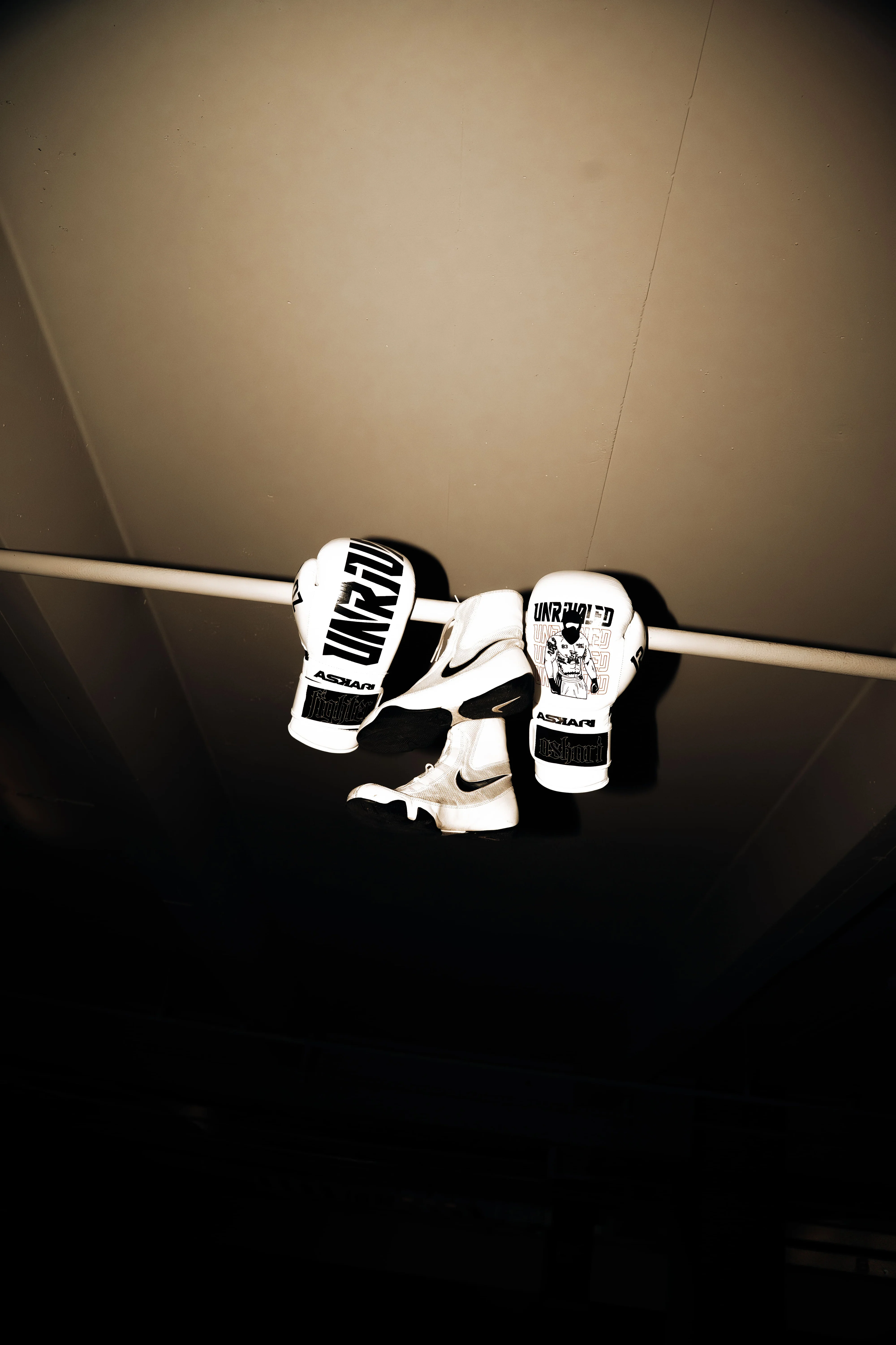 "UNRIVALED" BOXING GLOVES - Image 10