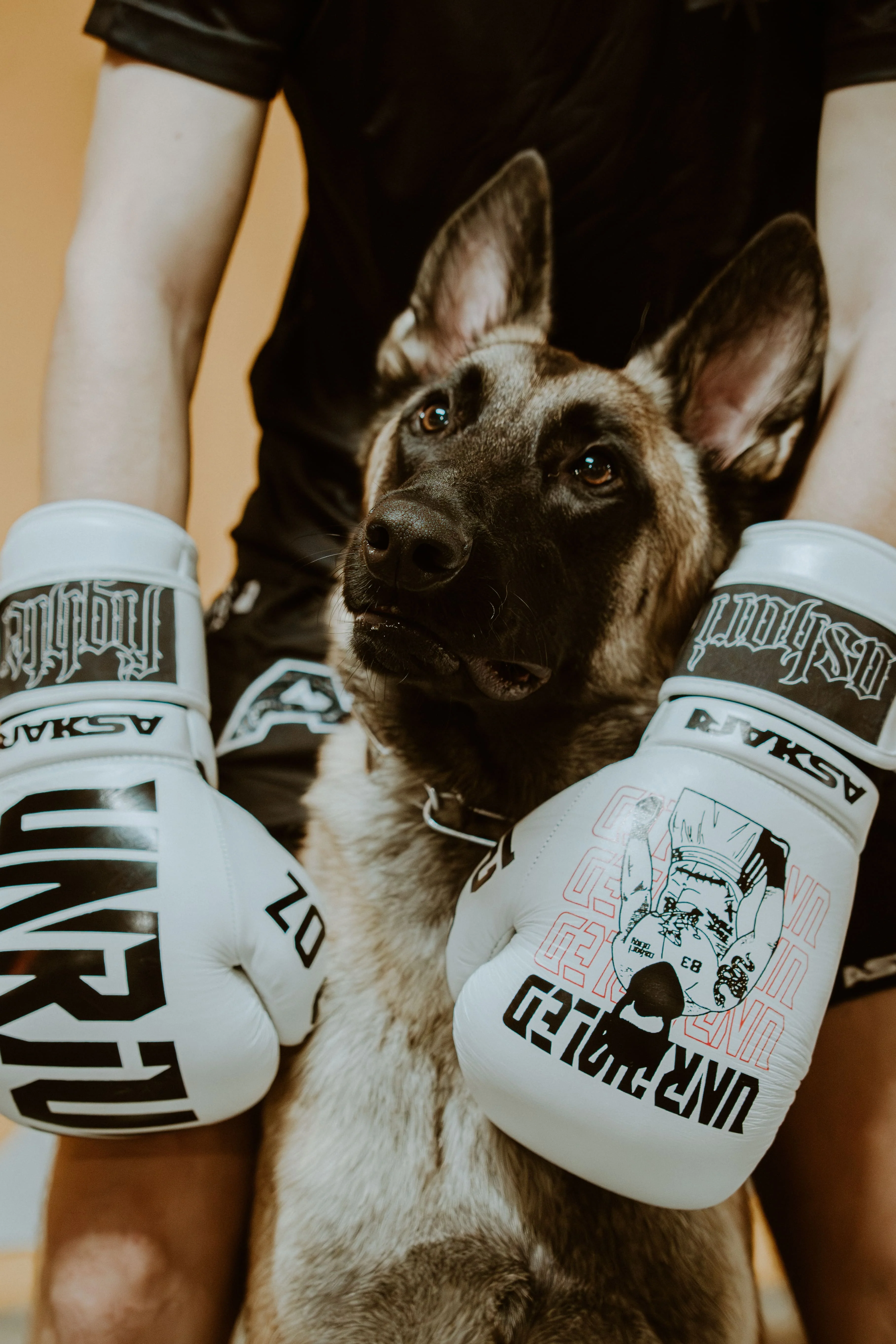 "UNRIVALED" BOXING GLOVES - Image 7